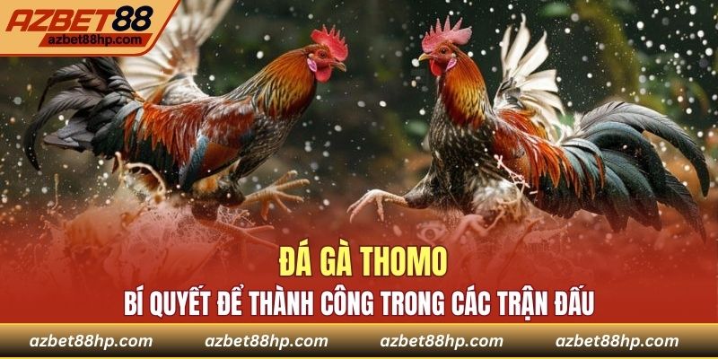 Đá Gà Thomo - Bí Quyết Để Thành Công Trong Các Trận Đấu 